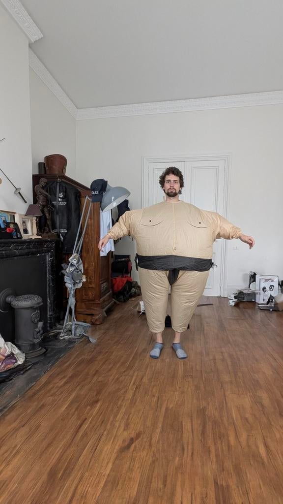 Dino, sumo opblaas kostuum, Ophalen of Verzenden, Gebruikt