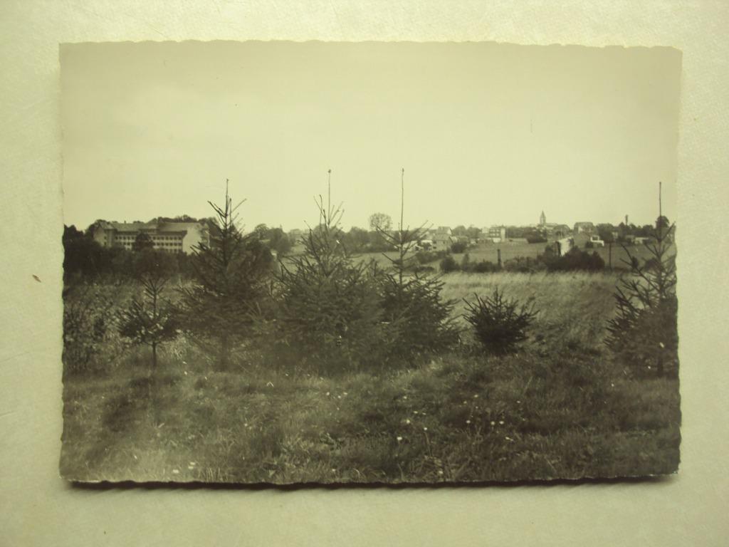 48407 - BANNEUX-NOTRE-DAME - PANORAMA, Verzenden