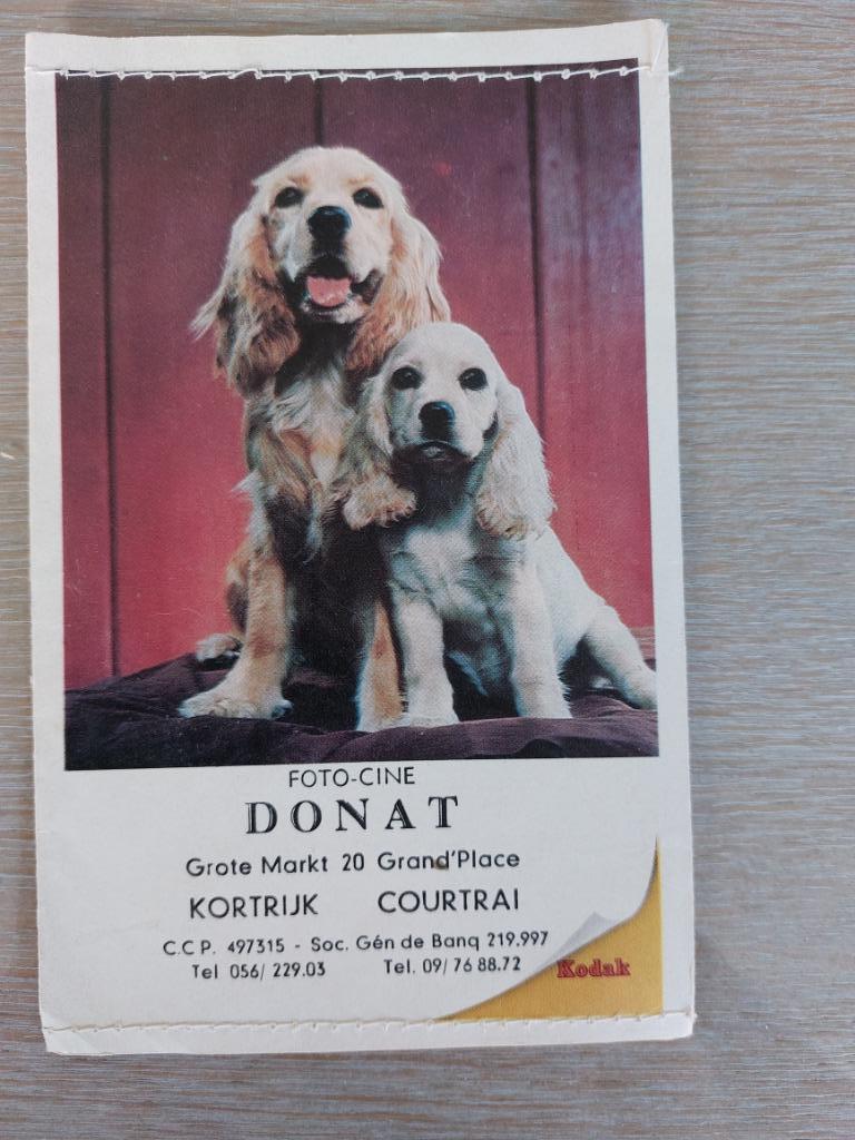 vintage fotomapje kortrijk, Enlèvement ou Envoi