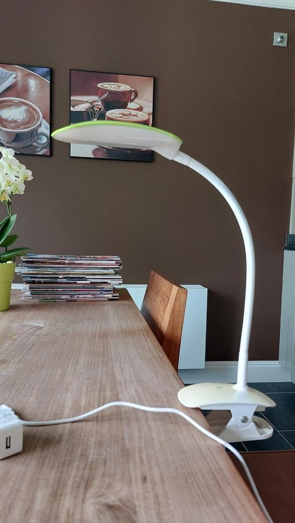 Bureaulamp groen/wit led usb, Ophalen of Verzenden, Gebruikt