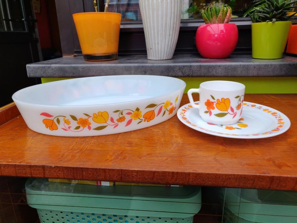 Ensemble de tulipes Arcopal, Enlèvement