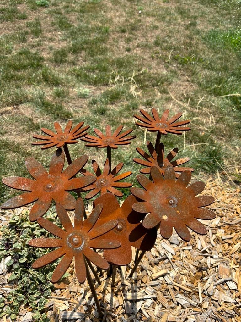 Fleurs en acier corten. Choix de jardin, Enlèvement, Neuf
