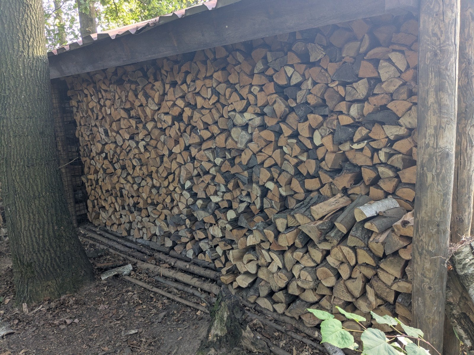 kachelhout, brandhout gekloofd, droog., 6 m³ of meer, Ophalen, Berkenhout, Blokken