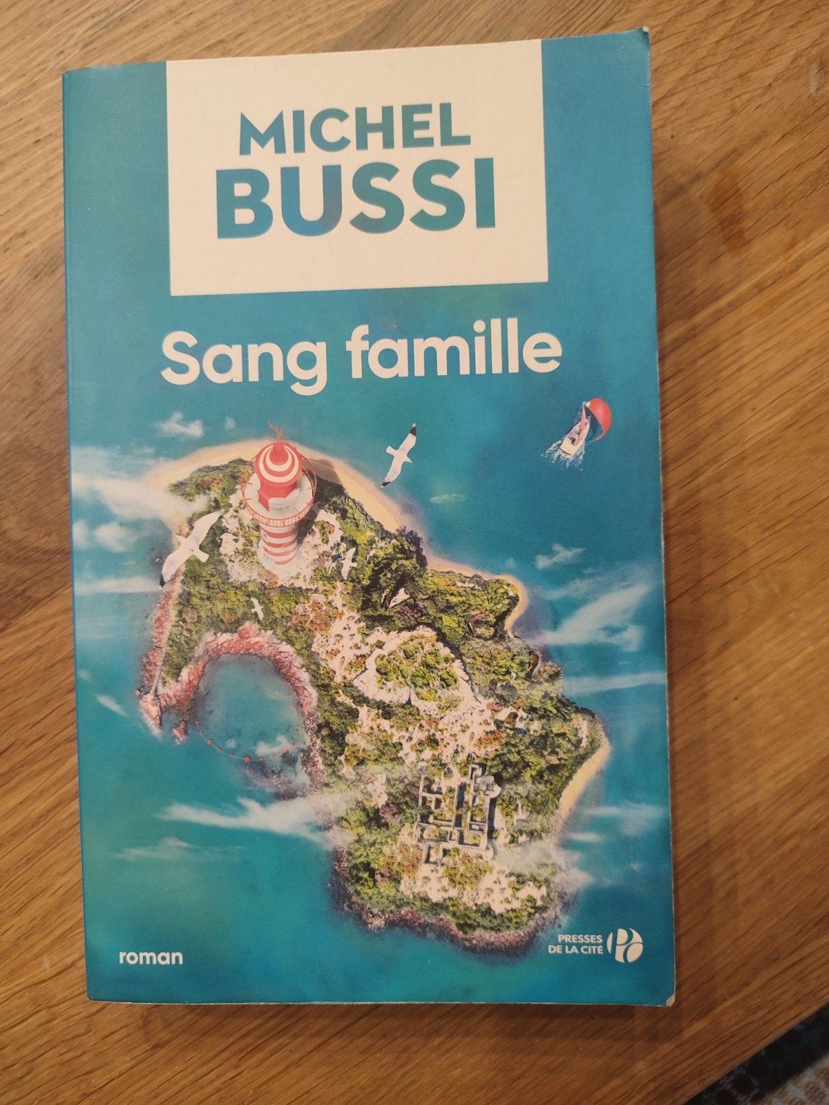 Michel bussi : Sang famille, Enlèvement