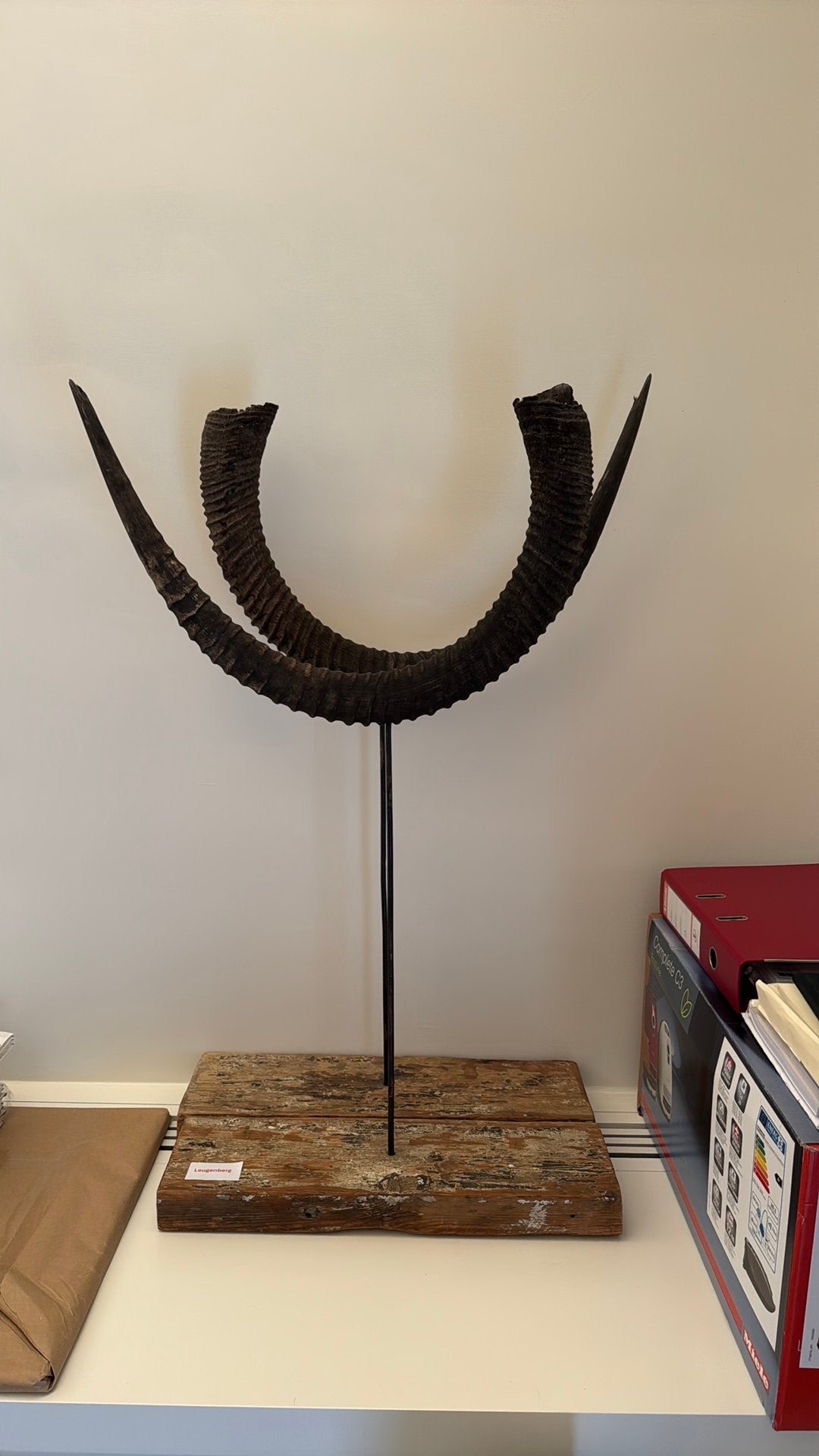 2 decoraties hoorns, Ophalen, Zo goed als nieuw