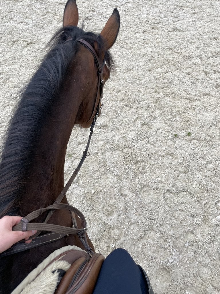 Zadelmak maken & opleiding jonge paarden, Animaux & Accessoires, Chevaux, Débourré