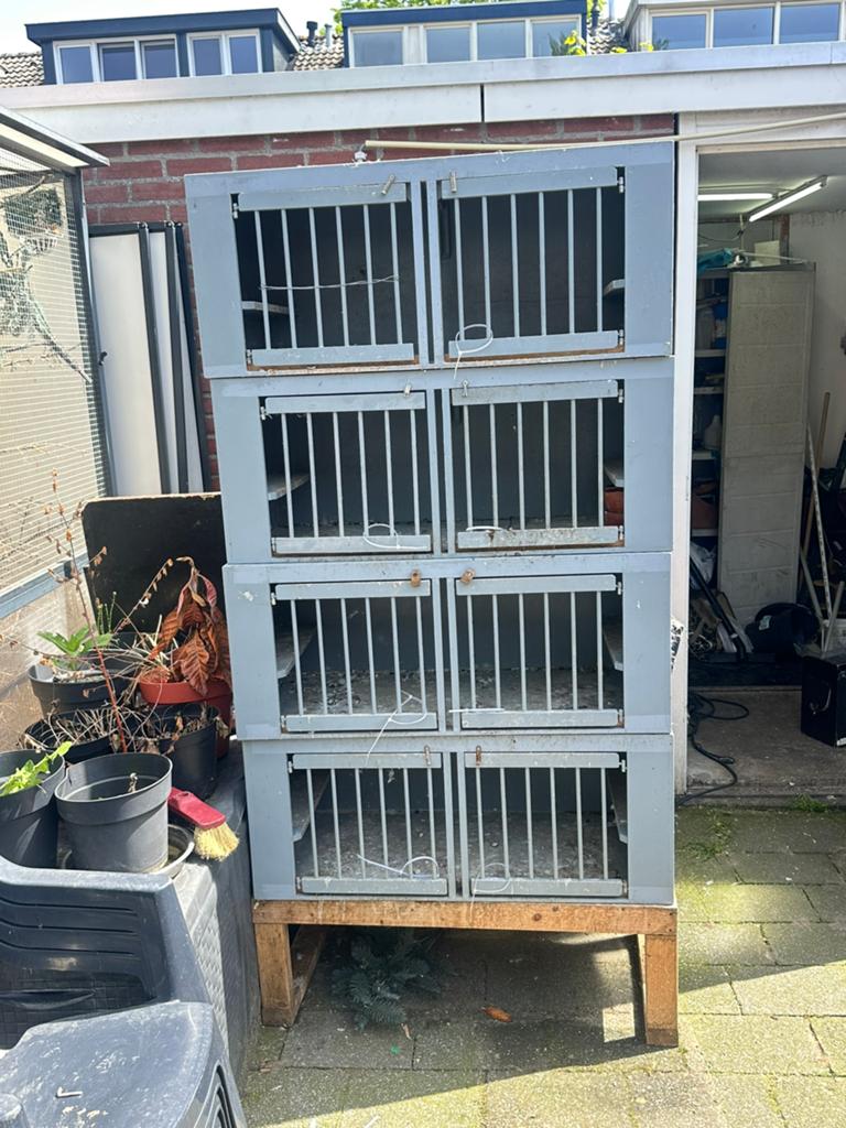 Duivenhokken, Dieren en Toebehoren, Vogels | Hokken en Kooien, Zo goed als nieuw, Broedkooi of Kweekkooi, Hout, Ophalen