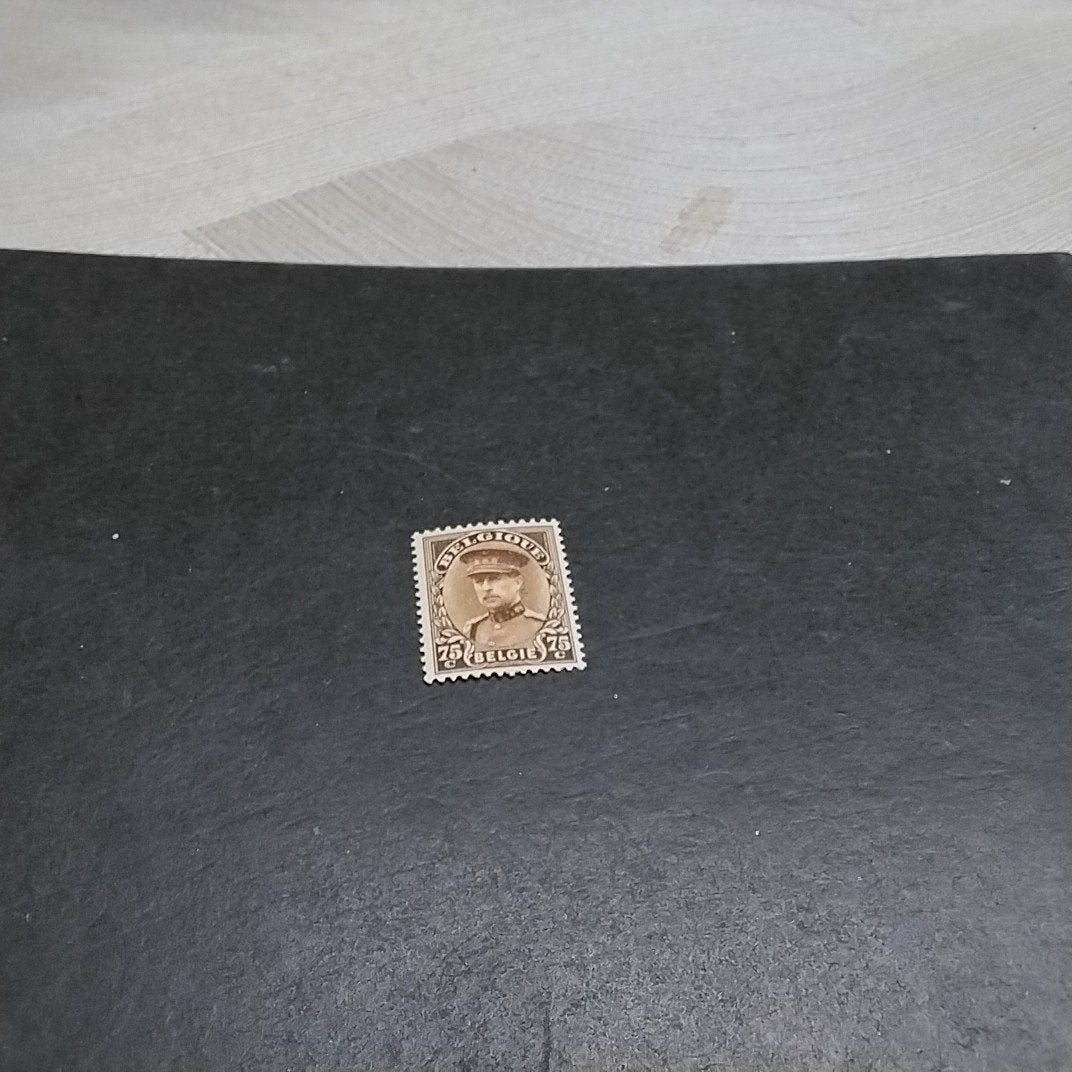 BELGIE  341 postfris met cote 6,50 €, Postzegels en Munten, Ophalen of Verzenden, Postfris