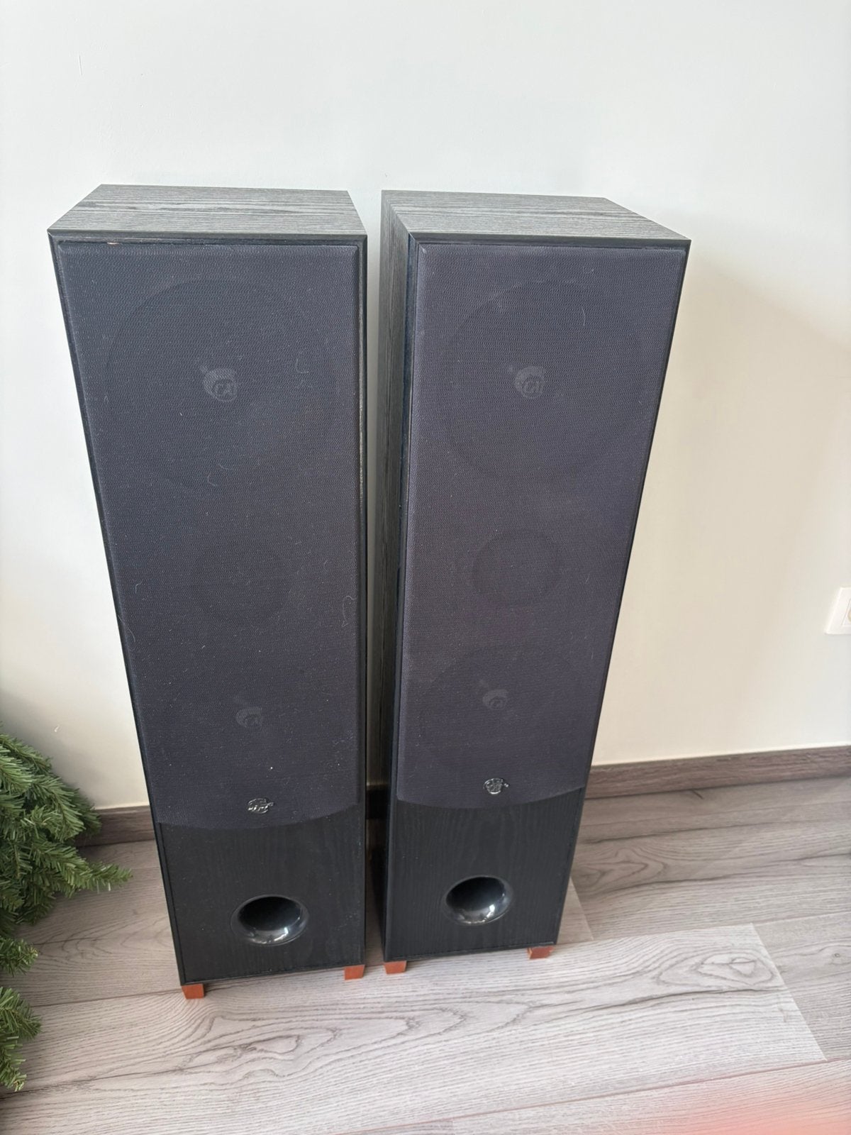 CAT LEB 401 – Set van 2 grote passieve luidsprekers, Basreflex, Ophalen, Zo goed als nieuw, Speakerset
