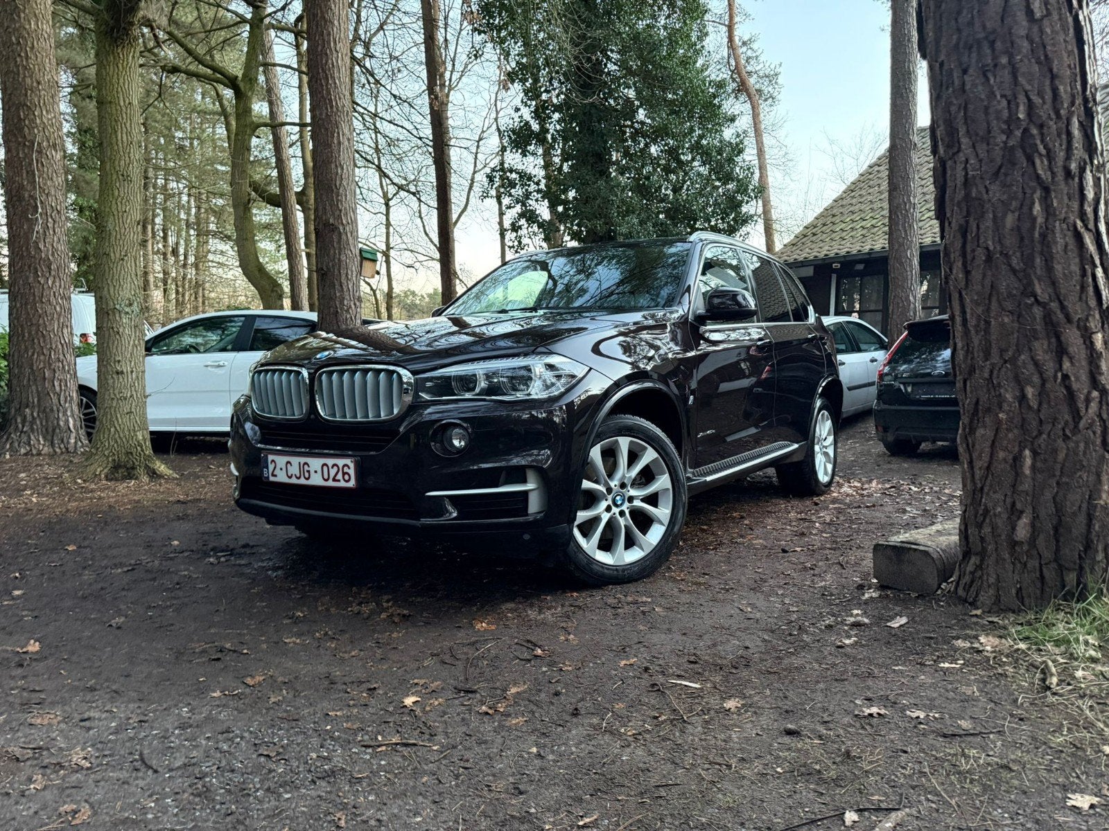 BMW X5 xDrive E40 DAVO FULL OPTION 0471 89 89 30, Auto's, Automaat, Bruin, Leder, Bruin