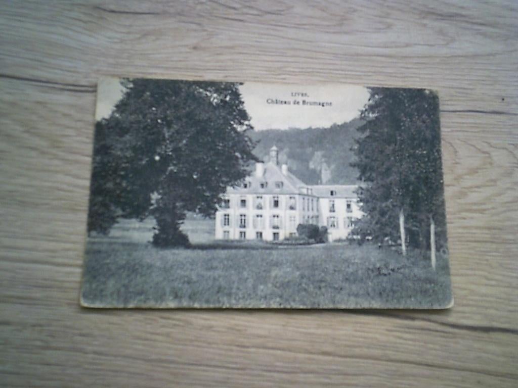 LIVES: Château de Brumagne, Enlèvement ou Envoi, Avant 1920, Affranchie, Namur