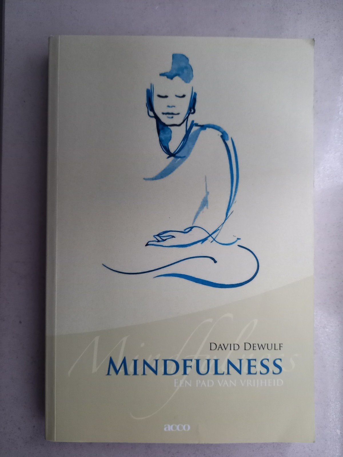 Mindfulness David Dewulf, Boeken, Ophalen of Verzenden