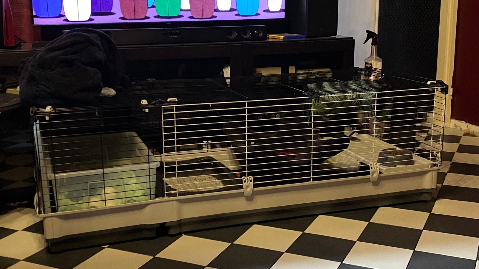 Ferplast kooi van 162 cm voor konijn, rat, fret, cavia,..., Ophalen, Zo goed als nieuw