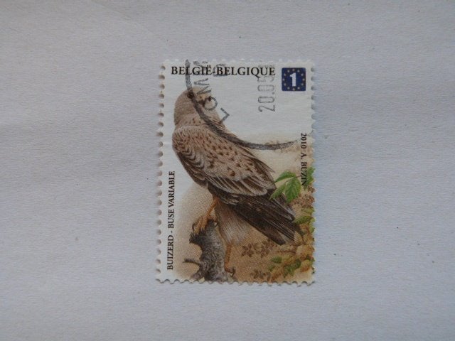 België gestempeld nr. 4030, Ophalen of Verzenden, Gestempeld, Gestempeld