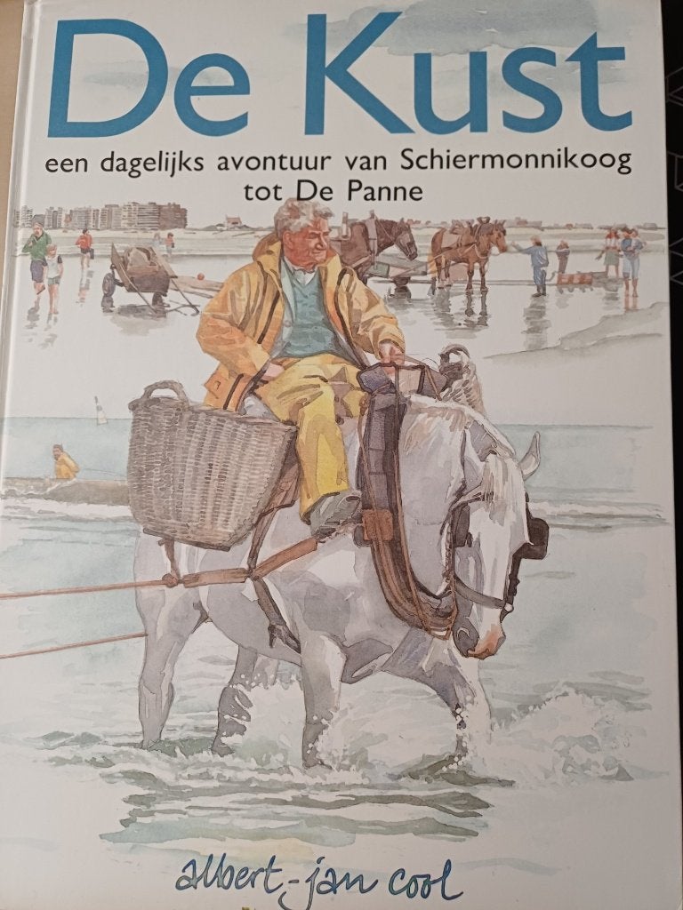 Kunstboek  "De kust"  van Schiermonnikoog tot De Panne, Boeken, Ophalen of Verzenden, Zo goed als nieuw, Albert Jan Cool, Schilder- en Tekenkunst