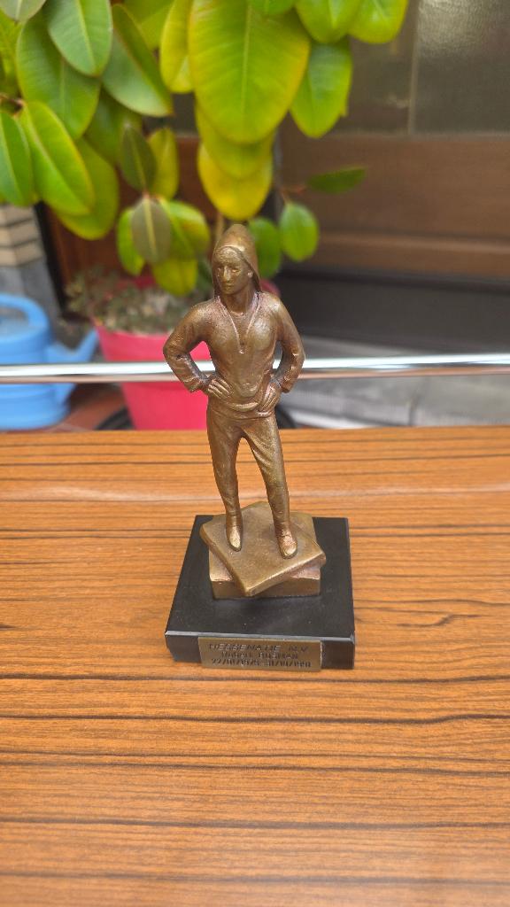 Statue en bronze Hessenatie, Enlèvement ou Envoi, Utilisé, Autres types