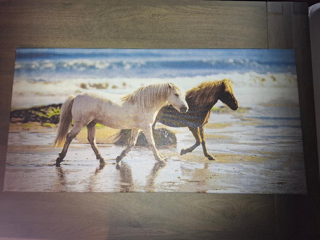 Kader met paarden, Huis en Inrichting, Ophalen, Zo goed als nieuw