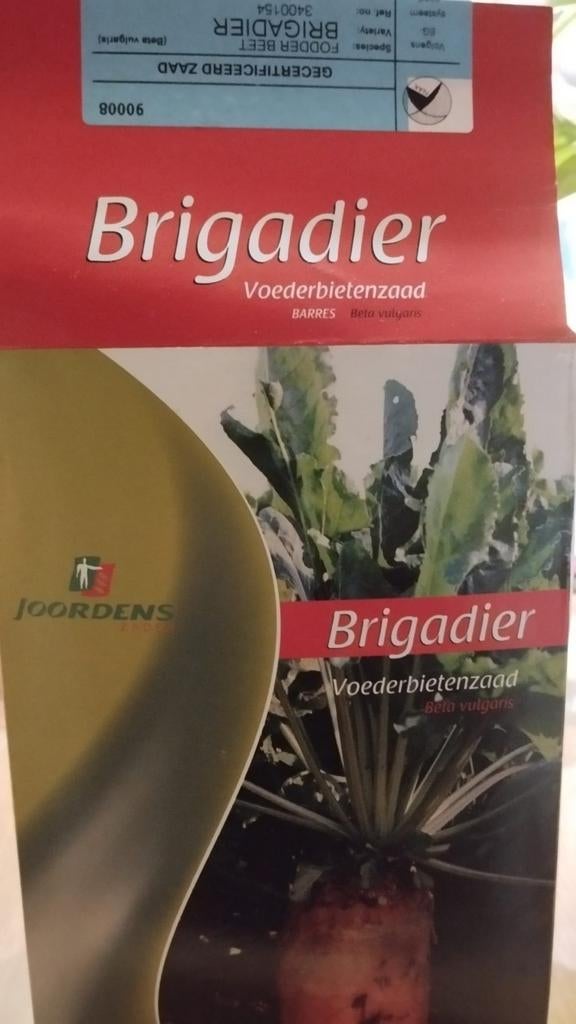 Voederbieten zaad / voederbietenzaad / bietenzaad /bieten za, Ophalen, Voorjaar, Zaad