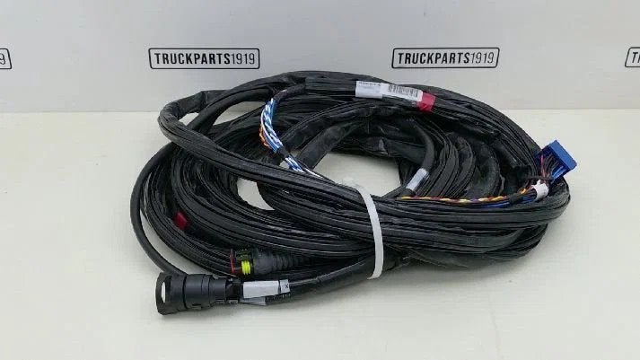 DAF Electrical System Kabelboom Versnellinsbak, Autos : Pièces & Accessoires, Pièces camion, Enlèvement, Utilisé, DAF, Électronique et Câbles
