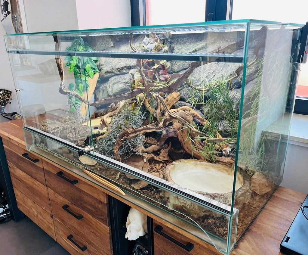 Terrarium, installation complète Regius, Animaux & Accessoires, Reptiles & Amphibiens | Accessoires, Enlèvement, Utilisé, Terrarium ou Paludarium