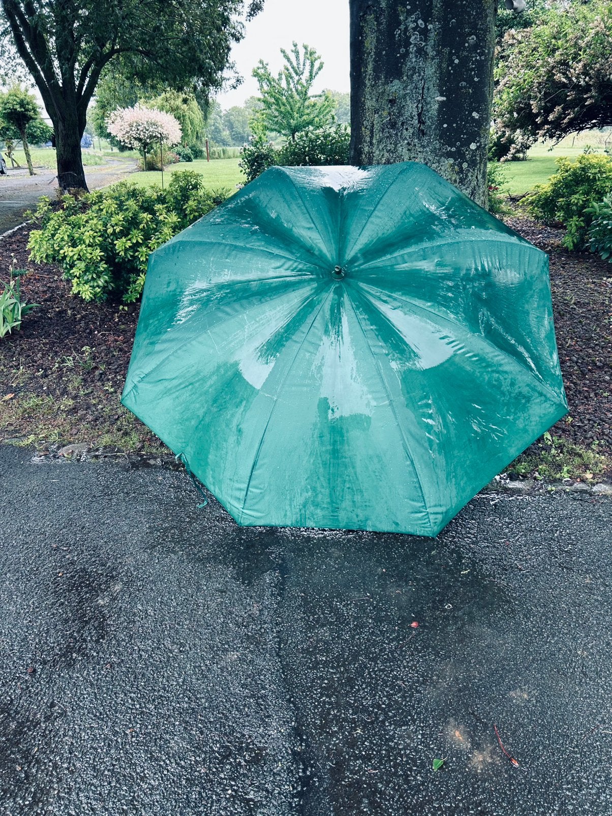 Parapluie de pêche, Sports nautiques & Bateaux, Enlèvement, Utilisé