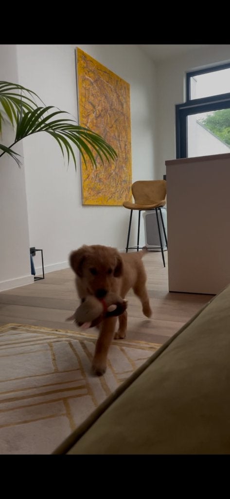 Barkrukken - Tabouret, Ophalen, 60 tot 90 cm, Zo goed als nieuw, Metaal