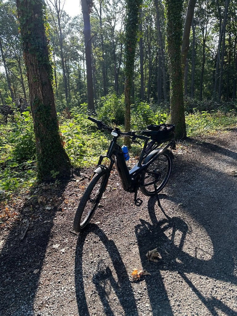 ries en muller, Fietsen en Brommers, Elektrische fietsen, Zo goed als nieuw, 47 tot 51 cm, 50 km per accu of meer, Ophalen
