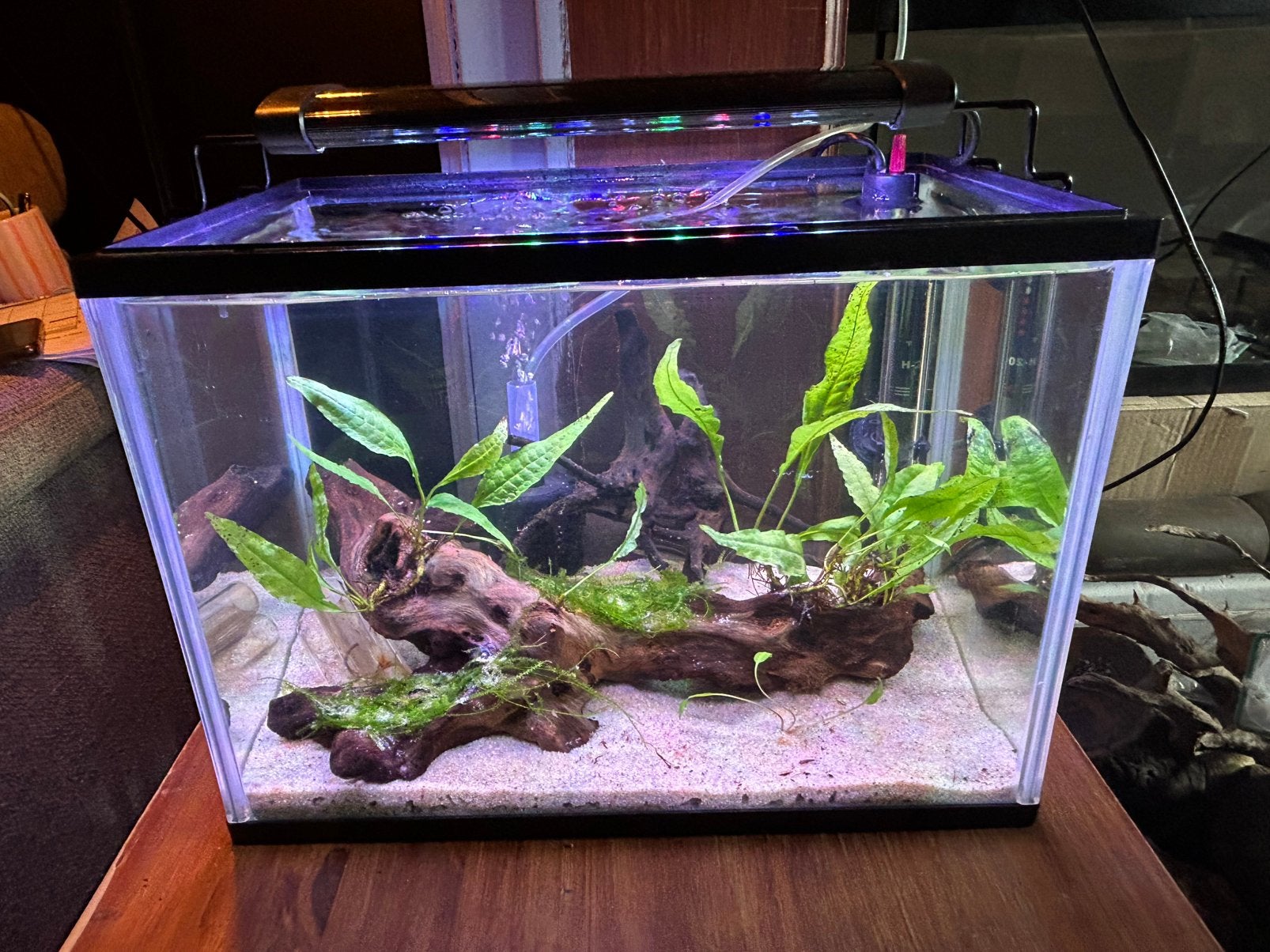 Aquarium met toebehoren en inhoud, Animaux & Accessoires, Poissons | Aquariums & Accessoires, Enlèvement, Chauffage, Comme neuf