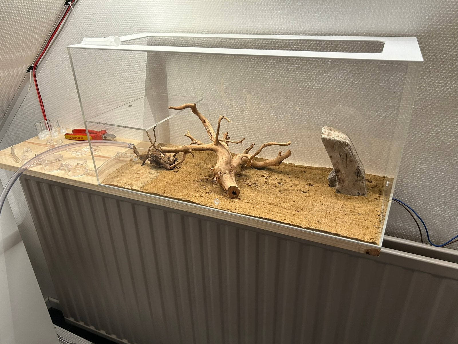 Formicarium voor mieren plus nesten en toebehoren, Dieren en Toebehoren, Ophalen, Gebruikt