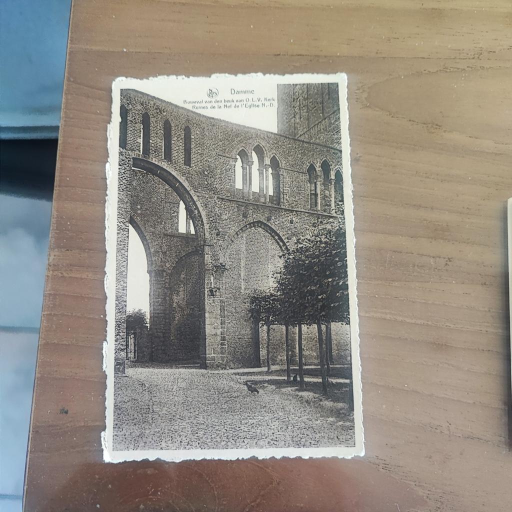 Damme, épave du hêtre de notre église, Enlèvement ou Envoi