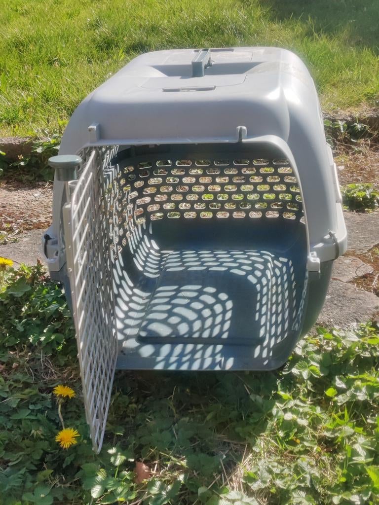Cage de transport pour chat ou chien, Animaux & Accessoires, Enlèvement