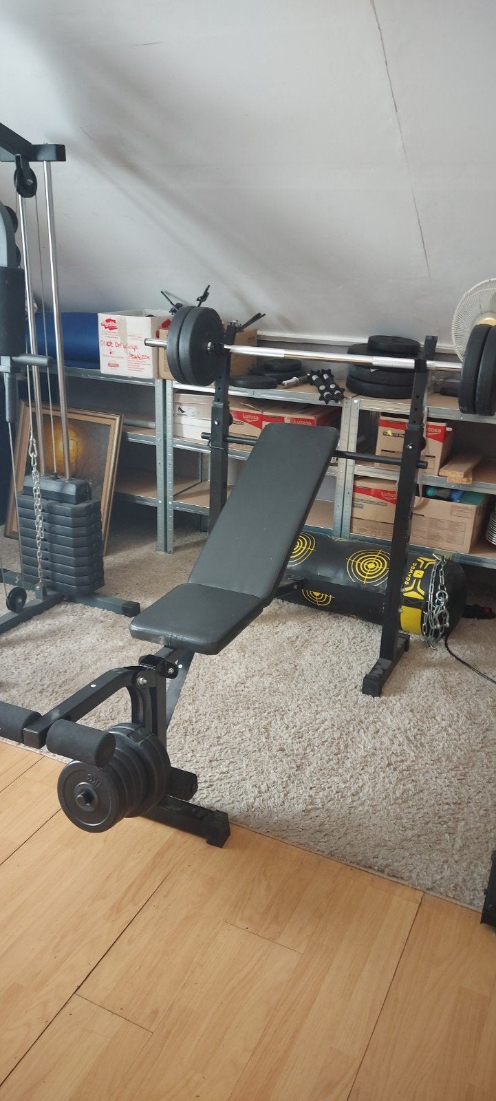 FITNESS TOESTELLEN, Sport en Fitness, Ophalen, Loopband