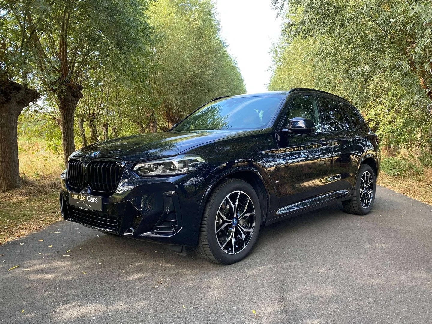 BMW X3 Plug in Hybrid,M-Pakket,Leder,Elektrische zetels,Trek, Auto's, BMW, Automaat, Beige, 4 cilinders, Leder