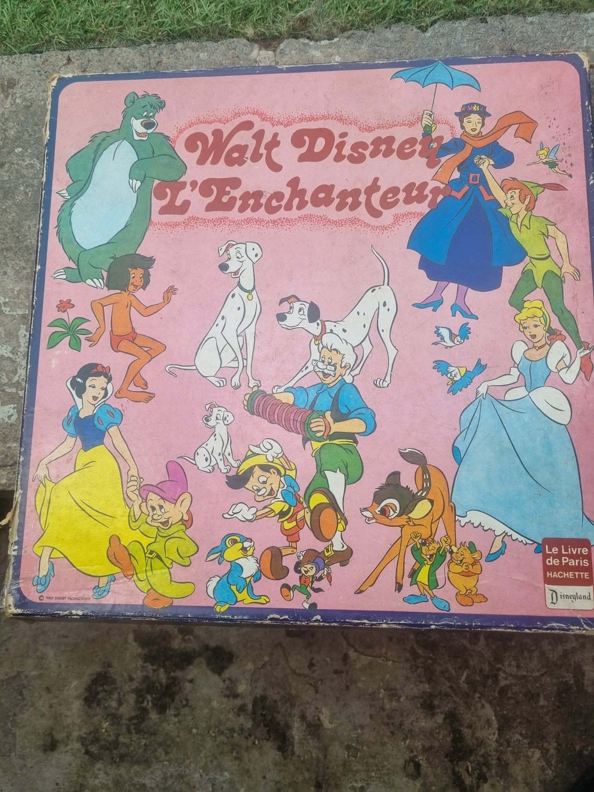 disque vinyle Disney, Enlèvement