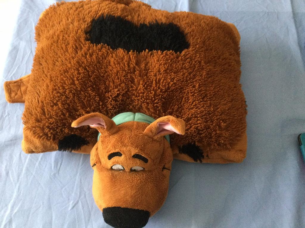 Scooby-Doo knuffel en kussen, Kinderen en Baby's, Ophalen of Verzenden, Zo goed als nieuw