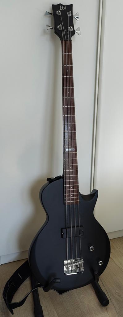 Basgitaar, Muziek en Instrumenten, Ophalen