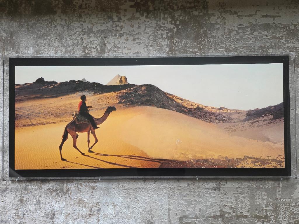 Panamarenko ' Reis naar Egypte', Antiek en Kunst, Ophalen of Verzenden