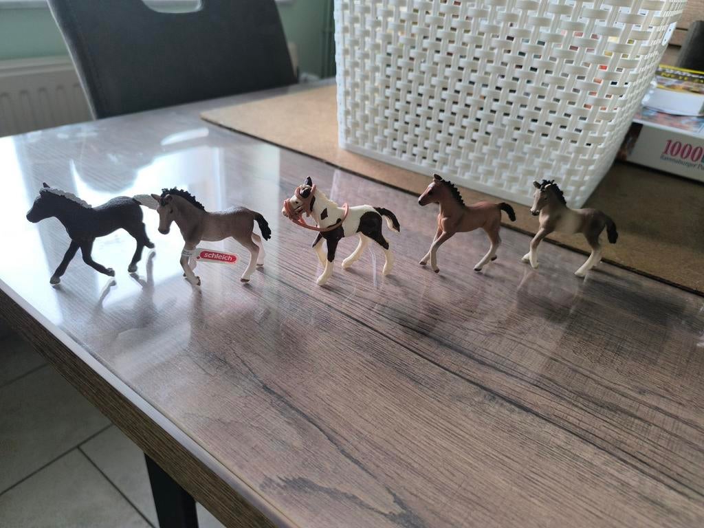 5 poulains Schleich, Enlèvement ou Envoi