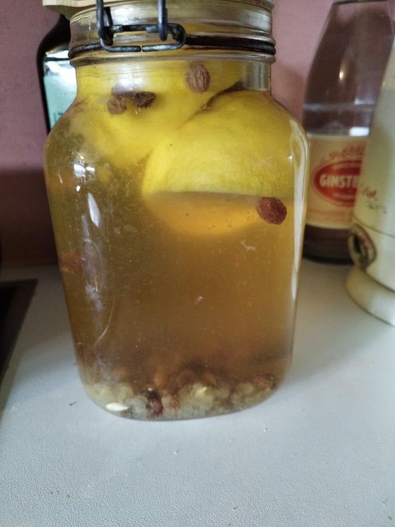 gezocht: waterkefir, Diversen, Levensmiddelen, Ophalen