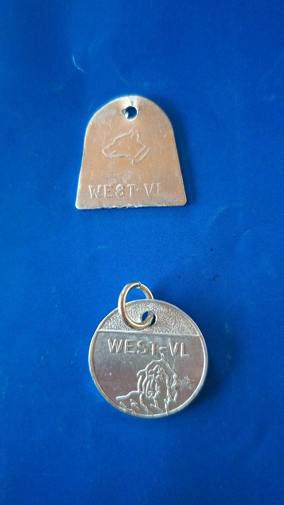 hondenpenning, Dieren en Toebehoren, Ophalen of Verzenden, Gebruikt