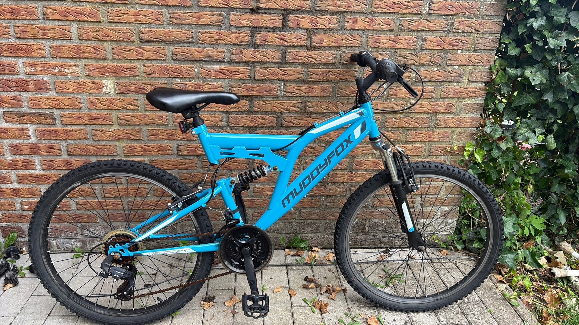 Vélos de montagne, Vélos & Vélomoteurs, Enlèvement, Comme neuf, Hommes