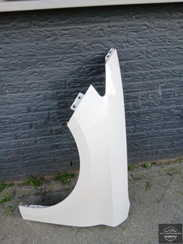 Panneau lat ral d'aile avant gauche d'origine pour Seat Cupr, Autovia A-2, Km 585 585
08760  Martorell, ES, SEAT S.A., Utilisé