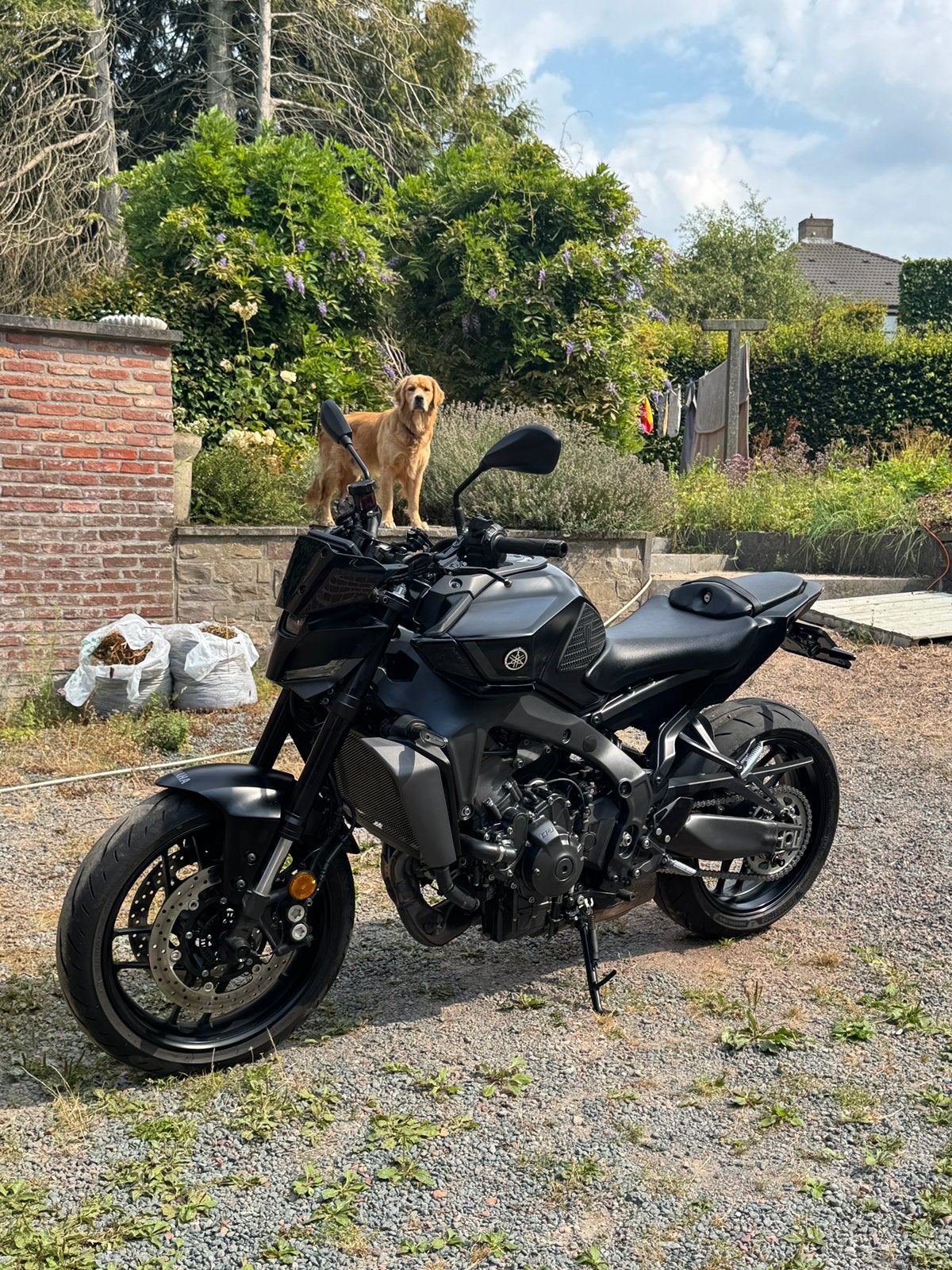 Yamaha MT09 2024, Motos, Motos | Yamaha, Particulier, Quickshifter