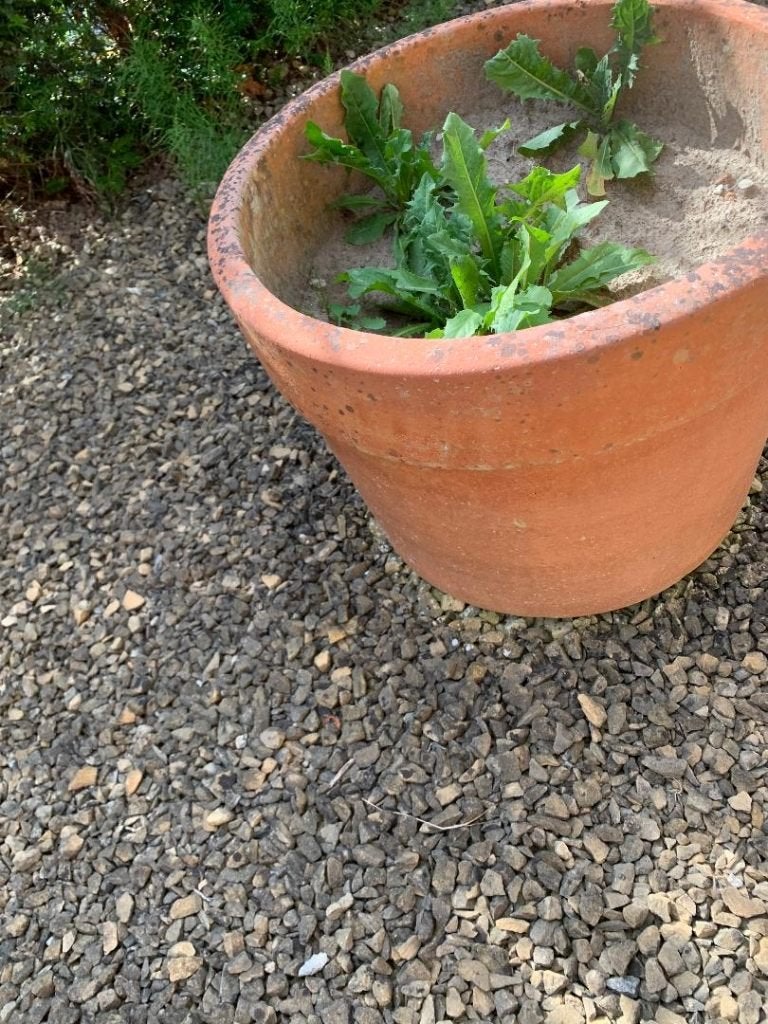 Bloempotten terra cotta, Ophalen, Gebruikt, 40 cm of meer, Rond