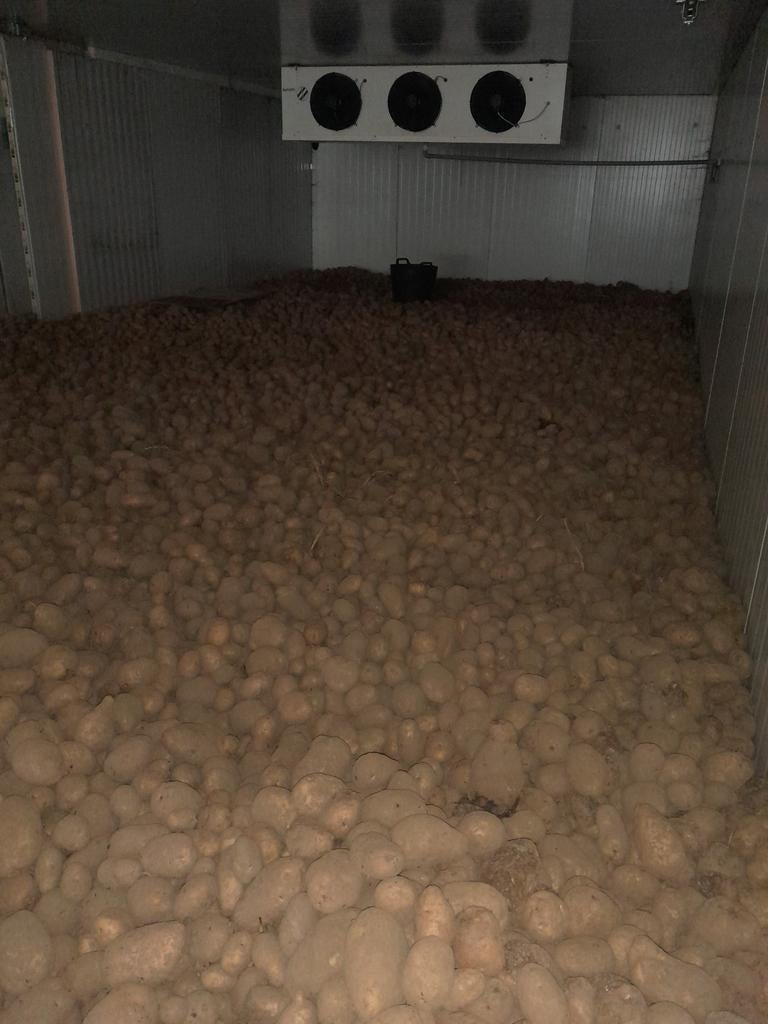 Aardappelen bintje, Zakelijke goederen, Ophalen