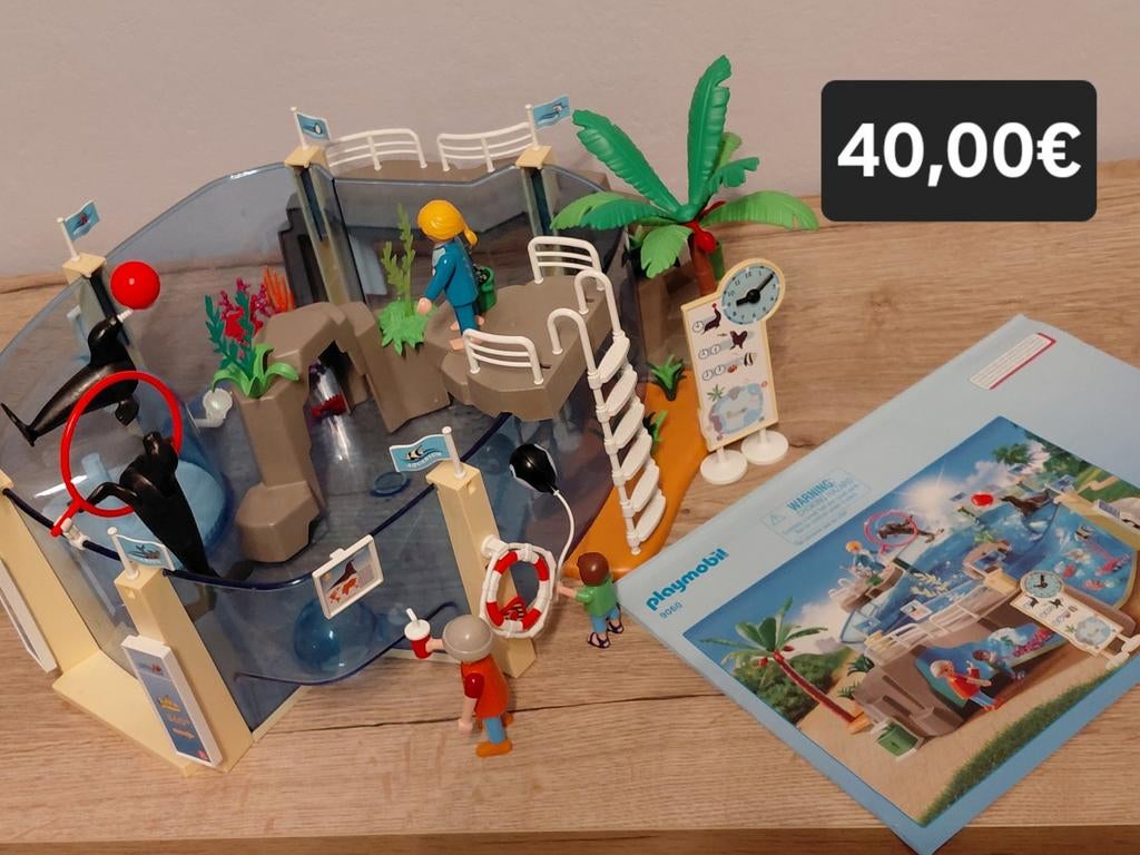 Playmobil - L’aquarium, Enlèvement