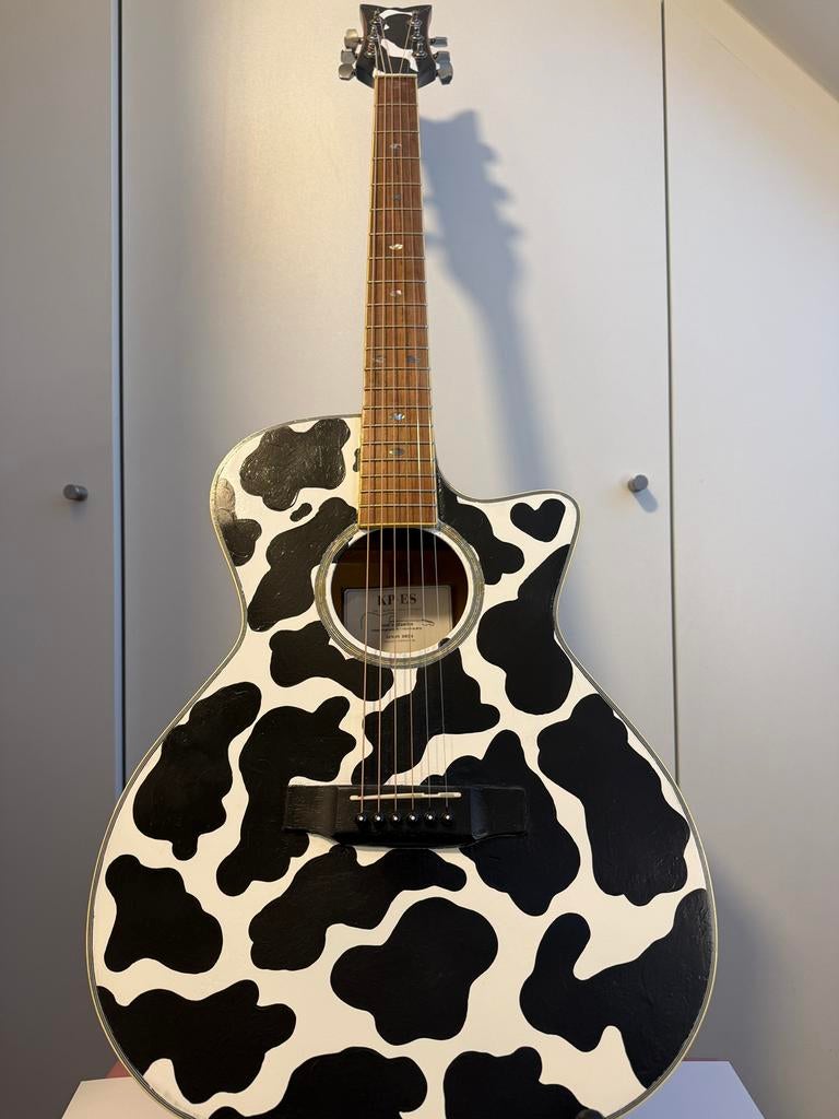 Handgeschilderde gitaar (decoratief), Musique & Instruments, Enlèvement, Comme neuf