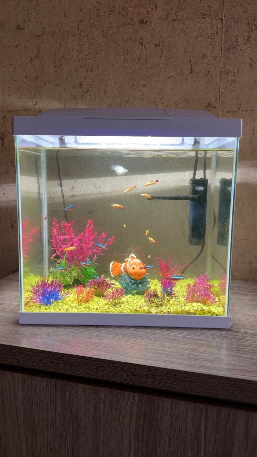 Visbak met 22 vissen en accessoires, Dieren en Toebehoren, Vissen | Aquaria en Toebehoren, Ophalen, Pomp, Zo goed als nieuw, Decoratie