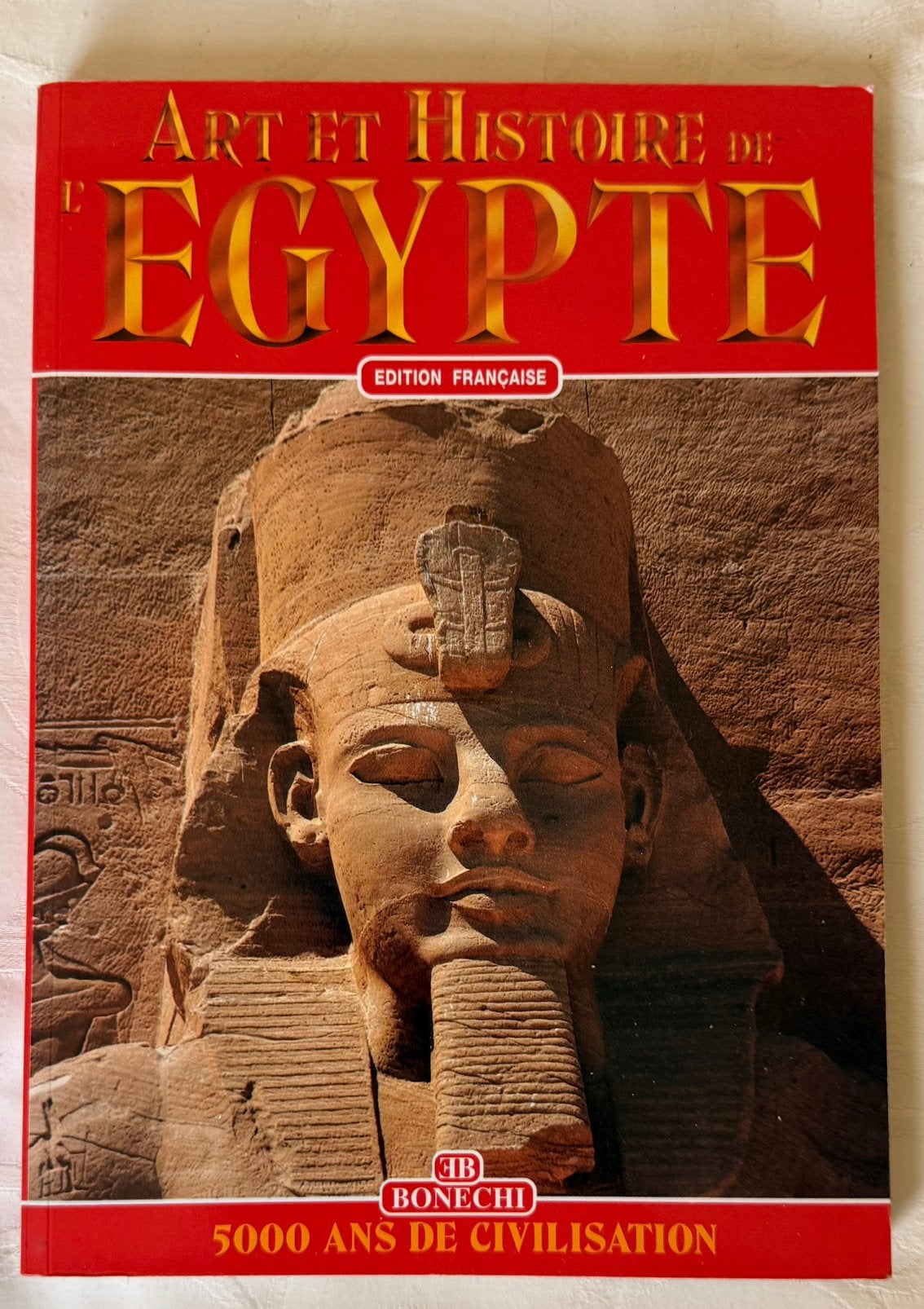 Art et Histoire de l’Égypte – 5000 ans de civilisation, Livres, Enlèvement, Comme neuf
