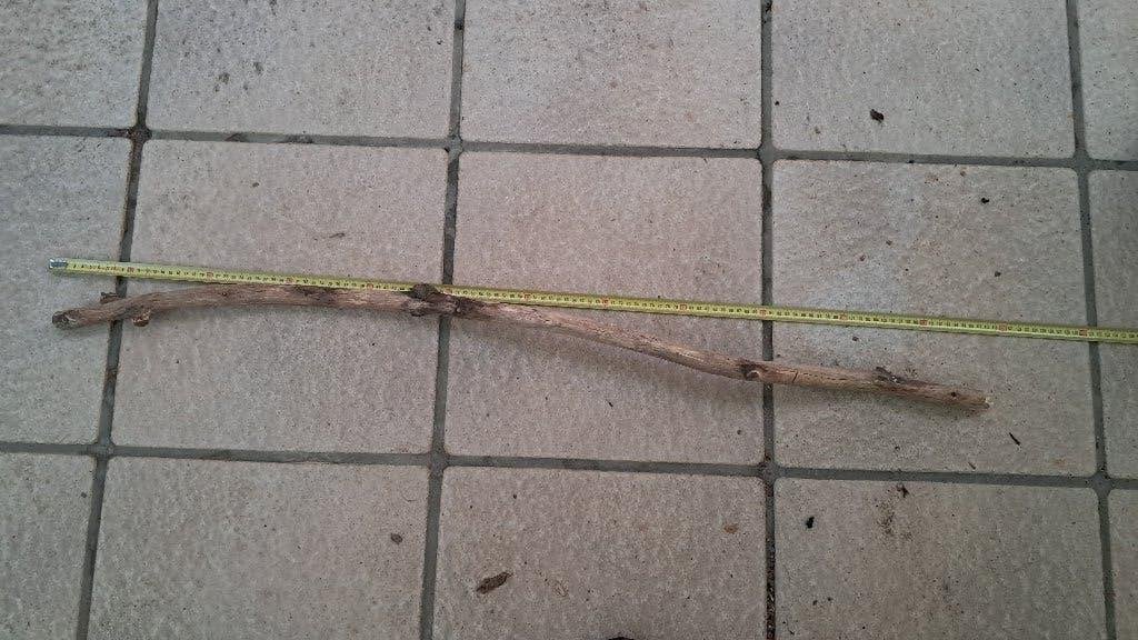 XXL Eikentak 120cm – Premium Hout voor Aquarium & Terrarium, Ophalen, Nieuw, Tak, Plant, Rots of Steen